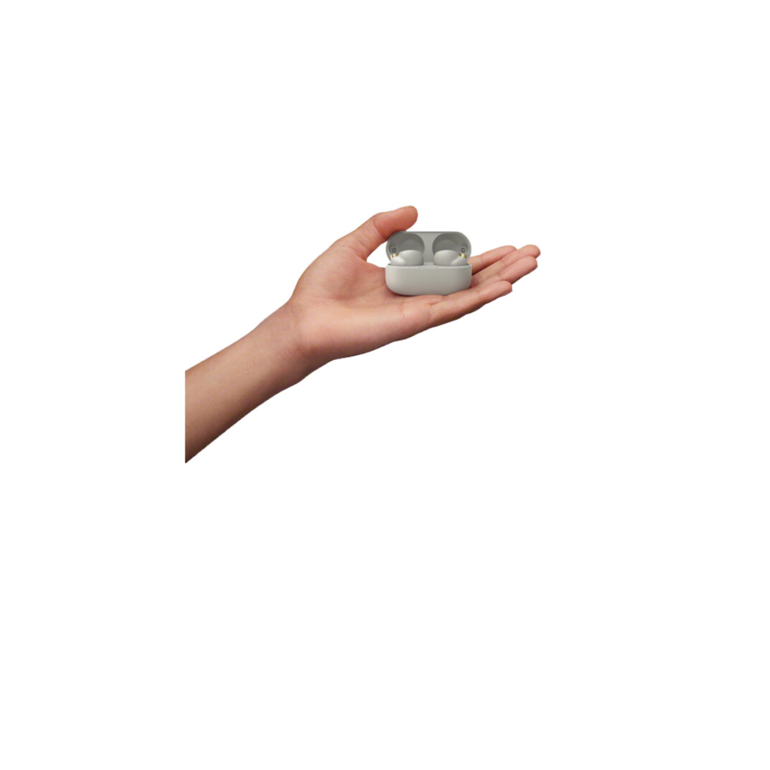 1626866147_IMG_1575372.png